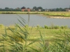 dsc00135