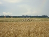 dsc00143